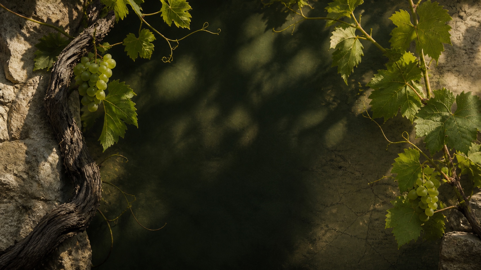 An old grapevine, leaves and white grape clusters framing a quiet green field