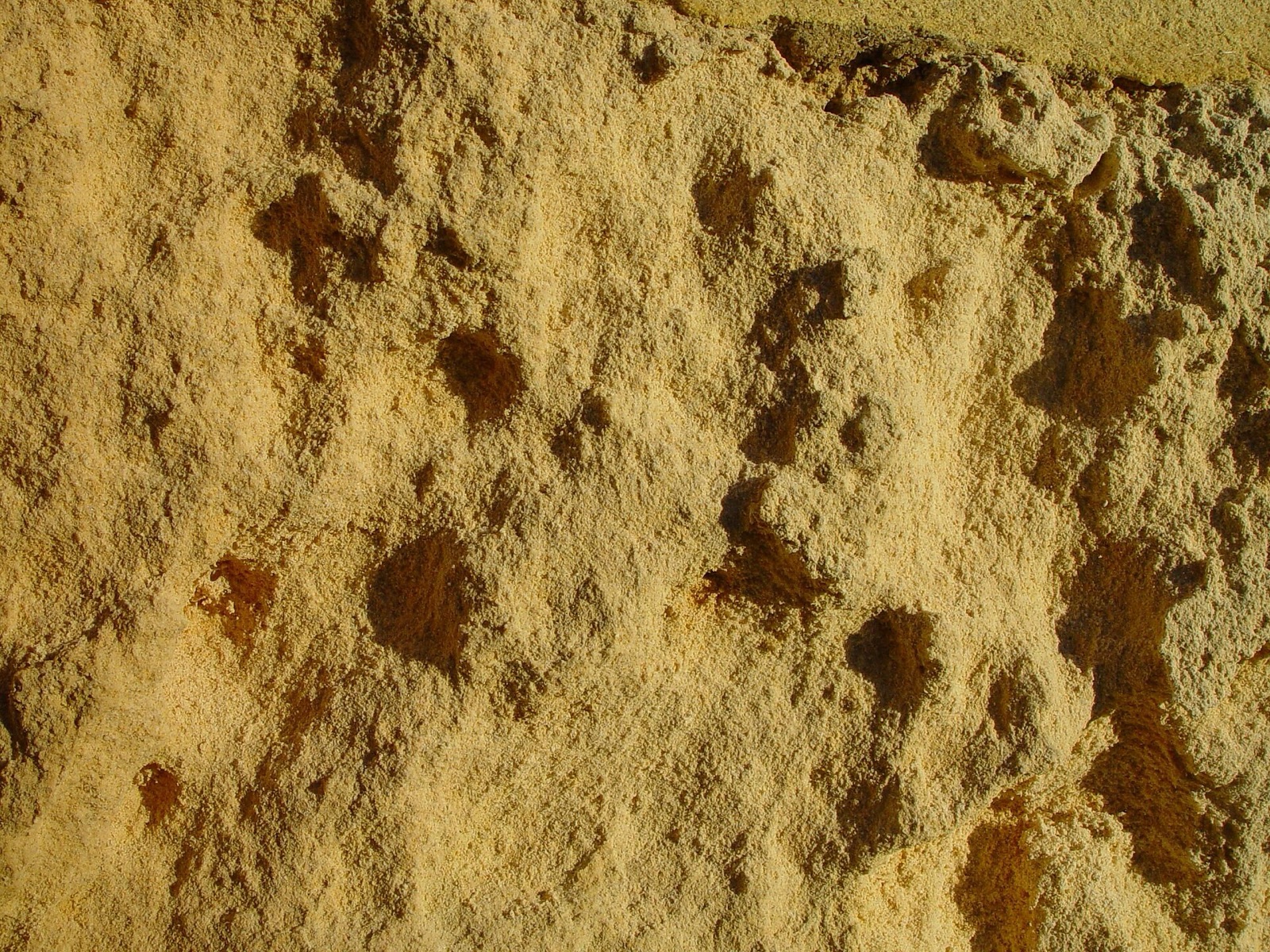 Weathered limestone representative of a Sancerre soil family