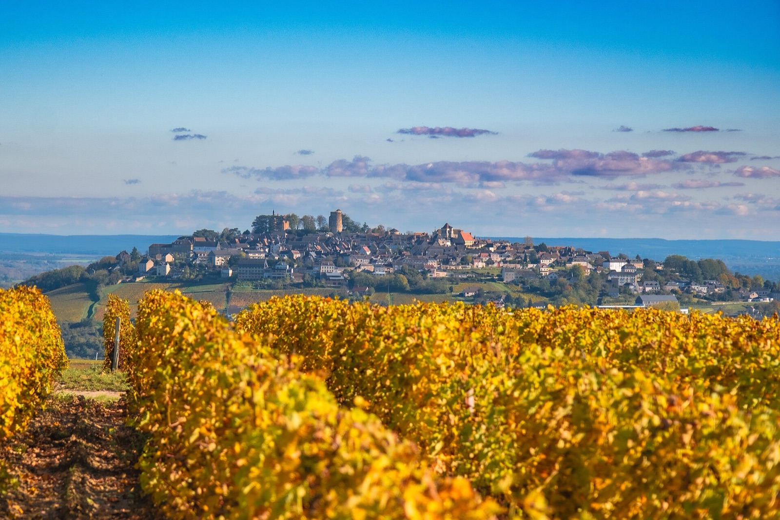 The Sancerre hill and vineyards in autumn