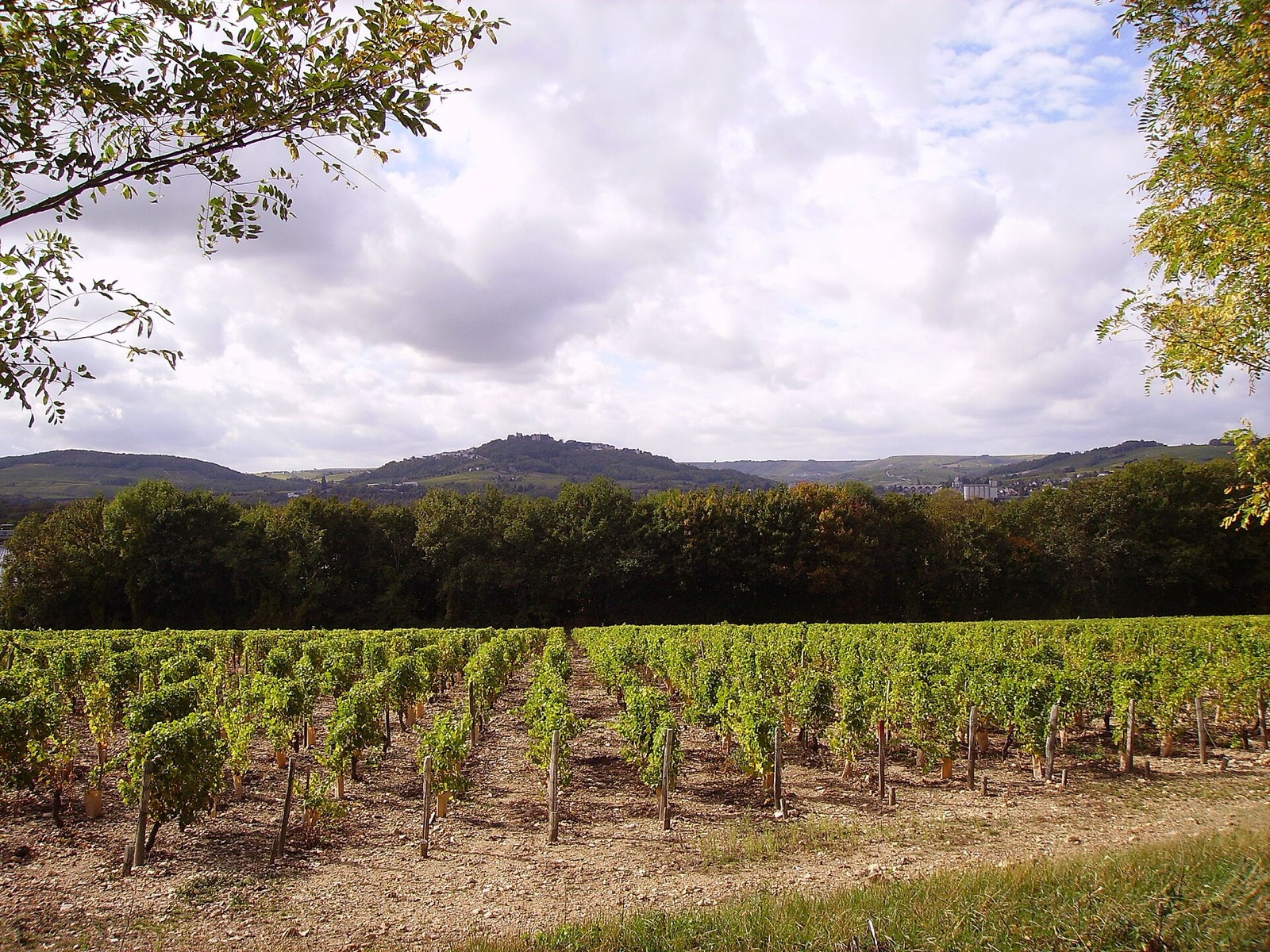 The hill town of Sancerre above its vineyards