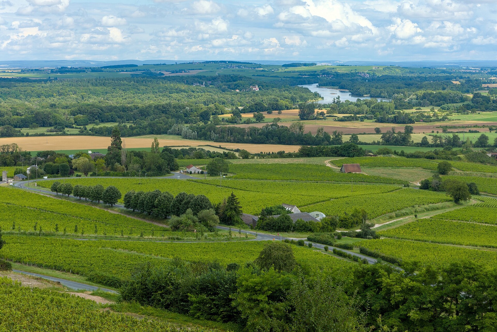 Panoramic Sancerre vineyard slopes