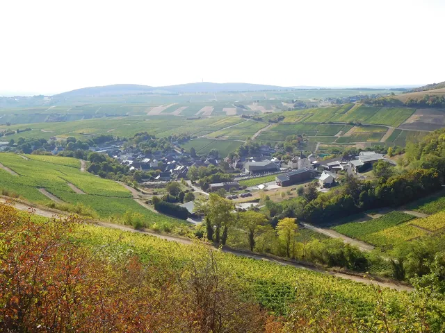 Rooftops of Chavignol below its vineyard slopes