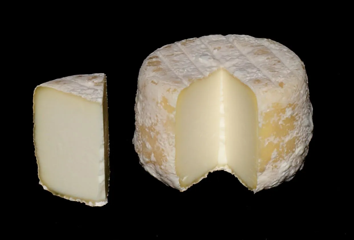 A whole and a cut Crottin de Chavignol