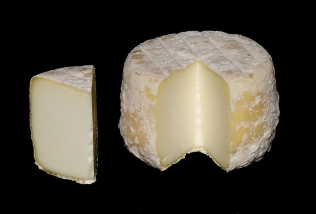 A whole and a cut Crottin de Chavignol