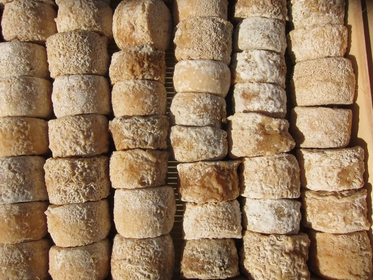 Rows of aged Crottin de Chavignol cheeses