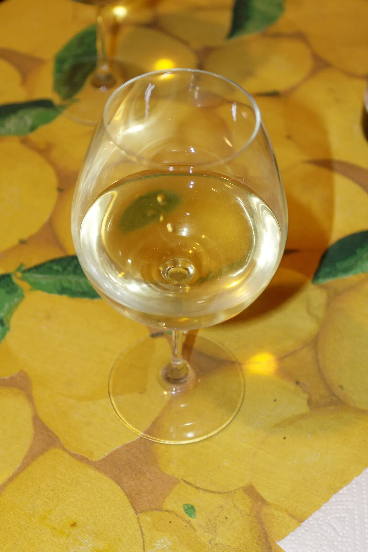 A glass of white Sancerre