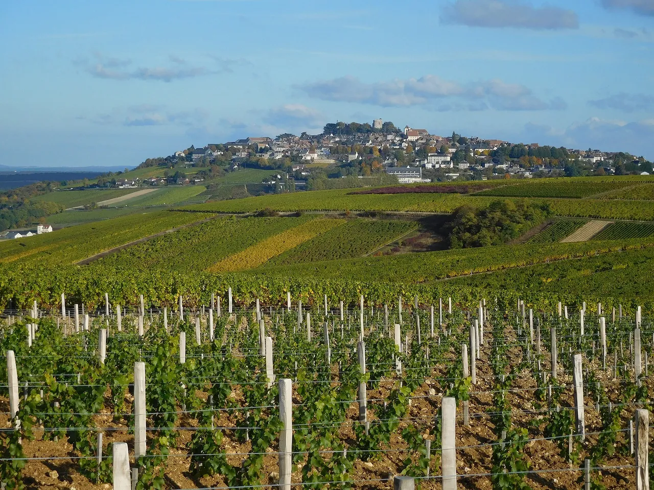 The hill of Sancerre seen from the vineyards of Chavignol