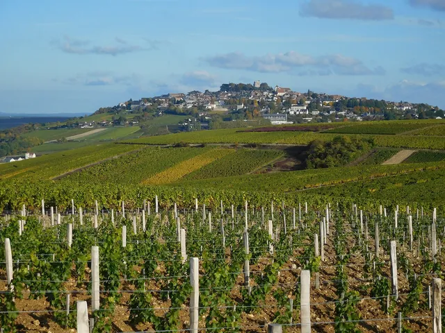 The hill of Sancerre seen from the vineyards of Chavignol