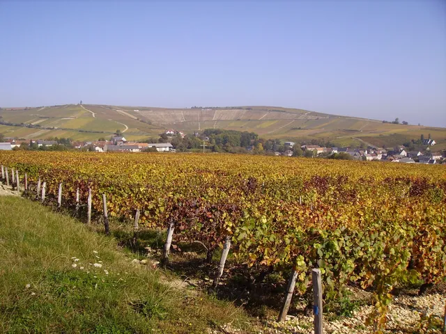 Autumn vines in the cirque of Bué, with the village in the distance