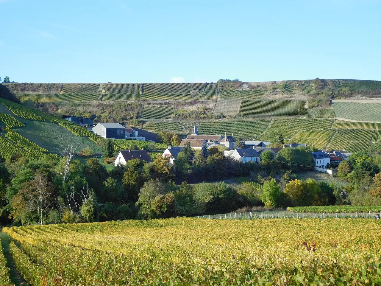 Chavignol and its vineyard slopes