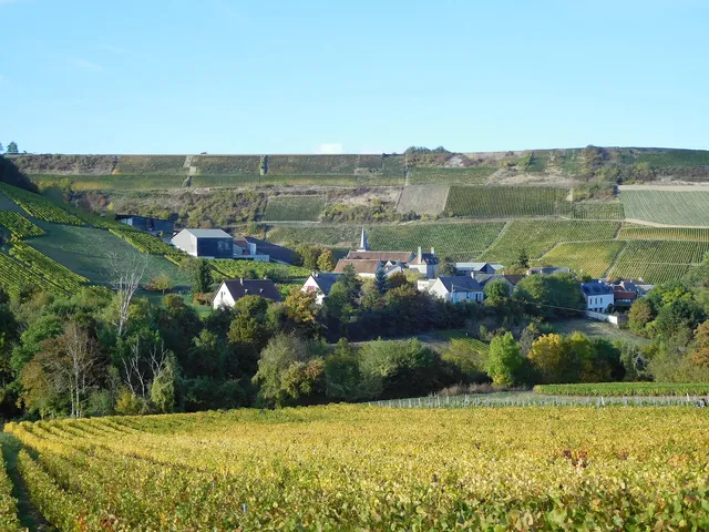 Chavignol and its vineyard slopes