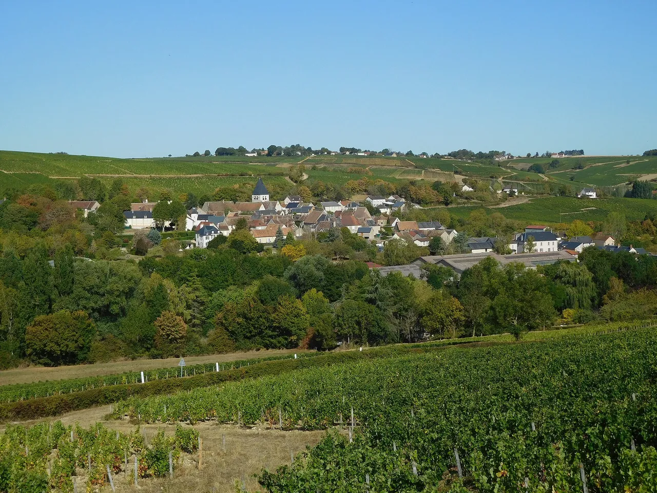 Rooftops and vineyard slopes of Sury-en-Vaux