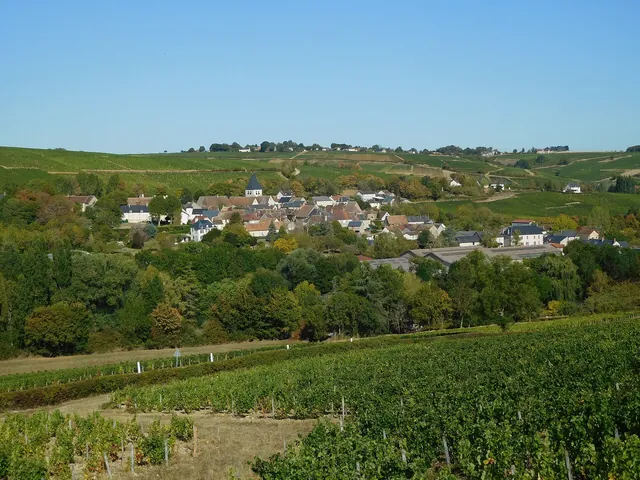 Rooftops and vineyard slopes of Sury-en-Vaux
