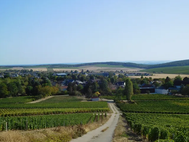 Verdigny beyond its vineyards and farm tracks
