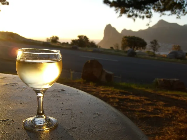 A chilled glass of white wine in low evening sun