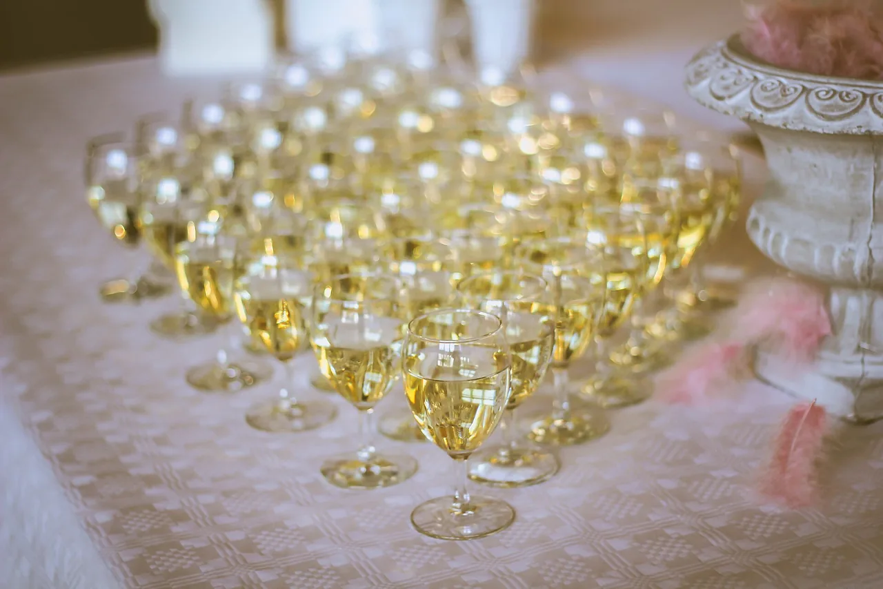 Rows of filled white wine glasses on a tablecloth