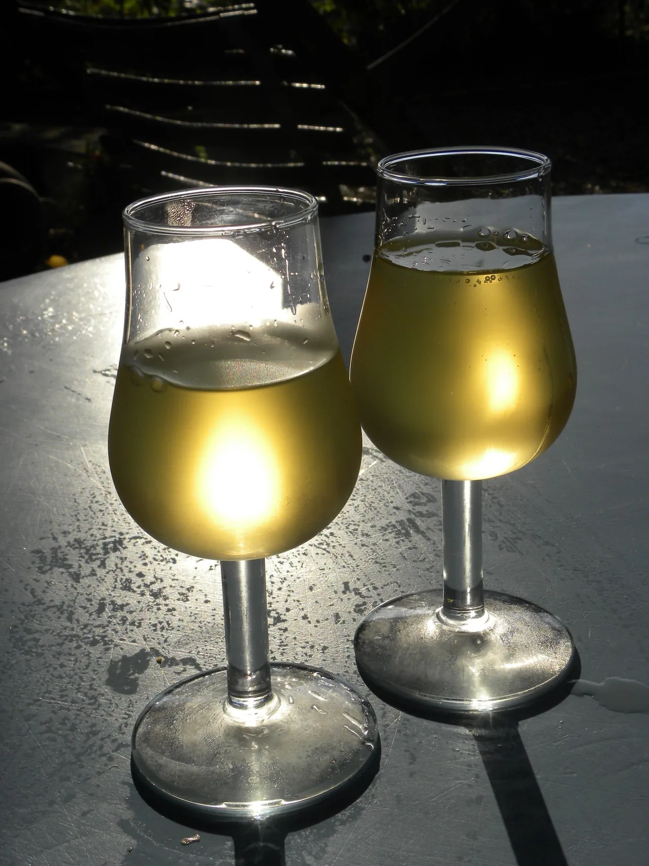 Two tulip-shaped glasses of white wine in sunlight
