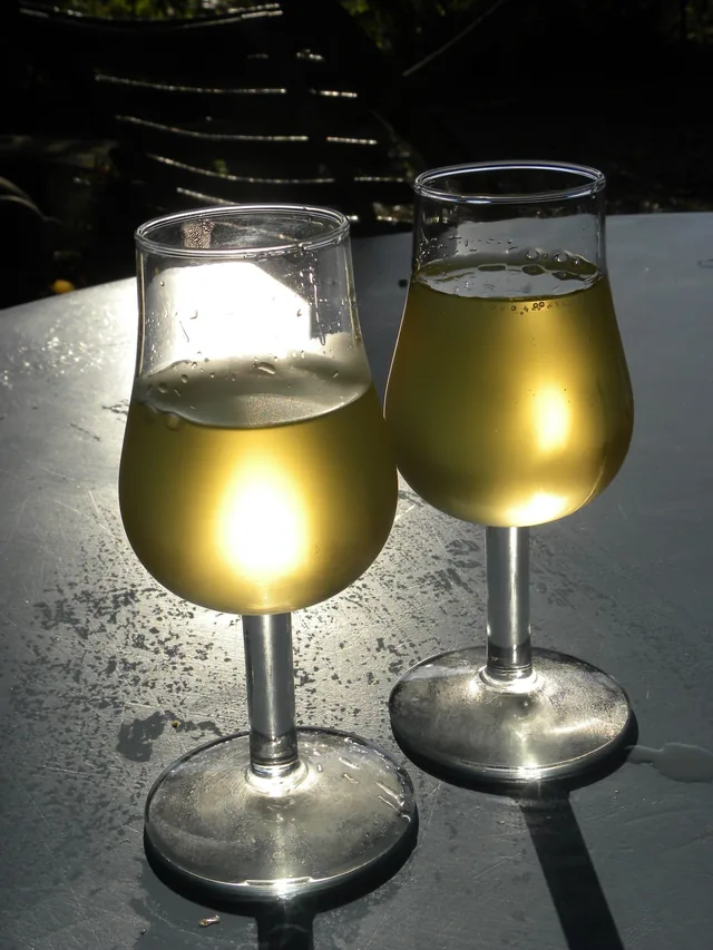 Two tulip-shaped glasses of white wine in sunlight